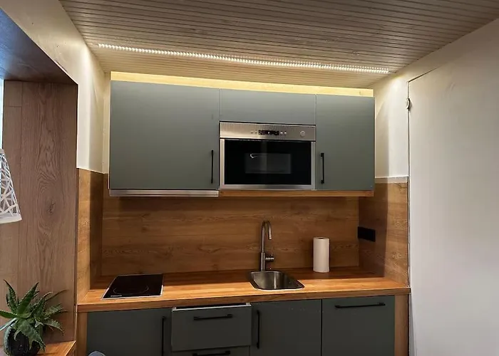 Contemporary + Free Parking Apartmán Klaipėda